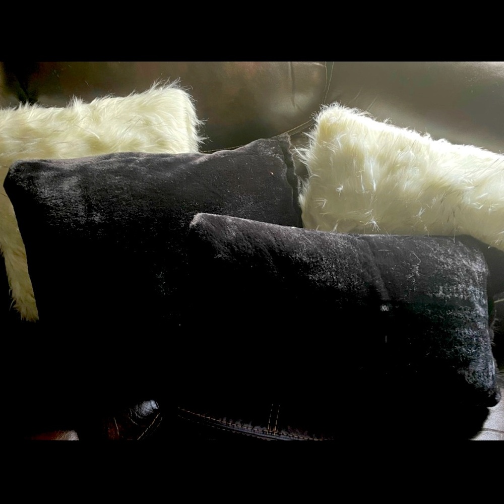 Soft XL pillows comes in sets of 2, colors or white and black